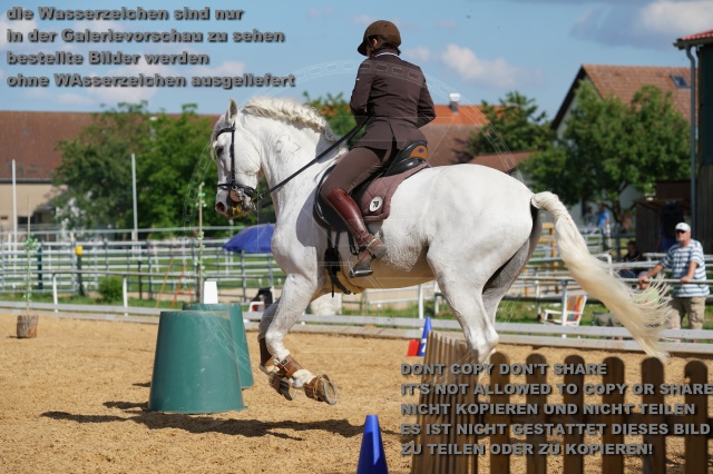 s_K3F07162.JPG